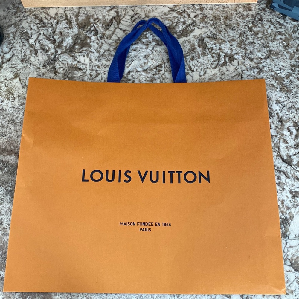 Louis Vuitton store bag